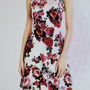 Betsey Johnson Dress